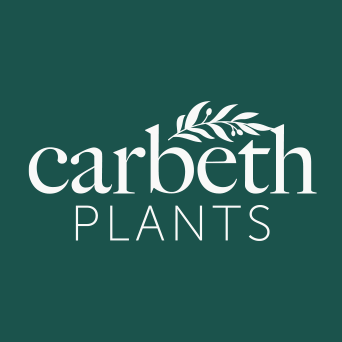 Carbeth Plants Deal