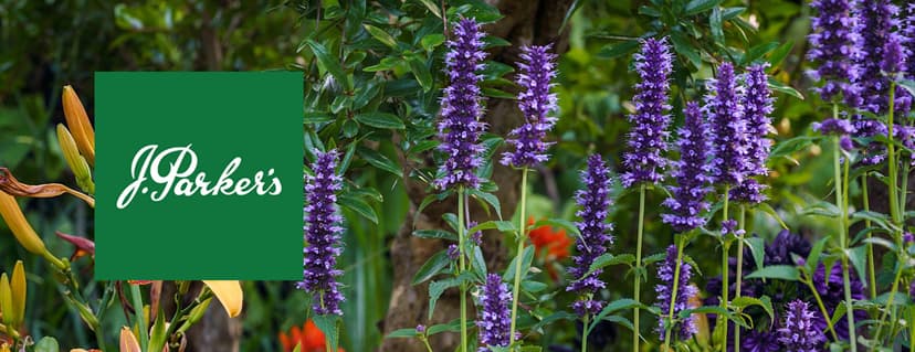 J Parkers discount codes