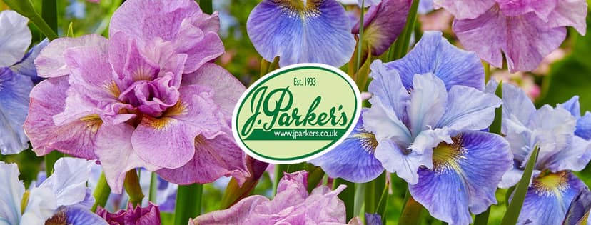 J Parkers discount codes