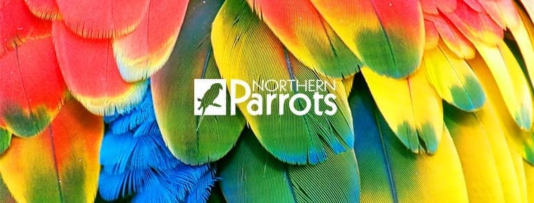 Northern Parrots voucher codes