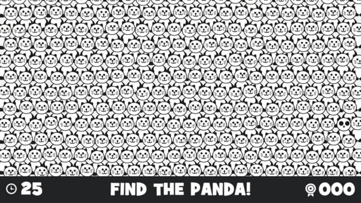 Find the Panda