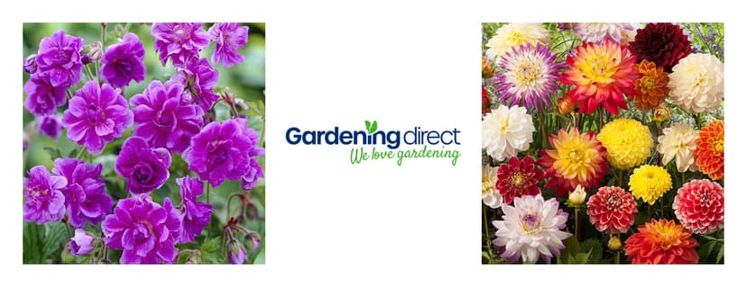 Gardening Direct voucher codes